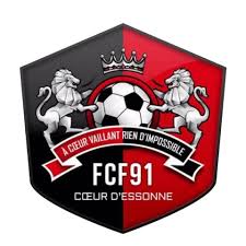 Le FC Fleury 91 en discussion avec le PSG et l'OL pour un partenariat