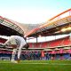 Leipzig/PSG - La pelouse du Stade de Luz préservée ce lundi