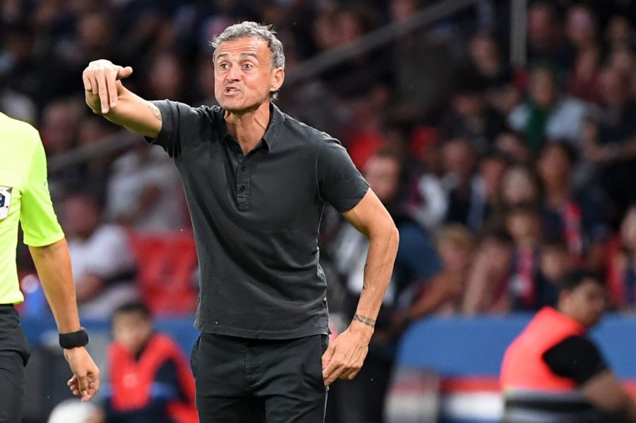 Luis Enrique se confie sur le "puzzle" et le "processus" au PSG