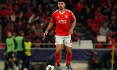 Mercato - Tomás Araújo