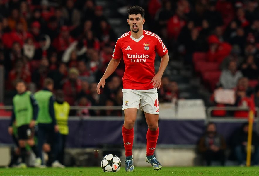 Mercato - Tomás Araújo