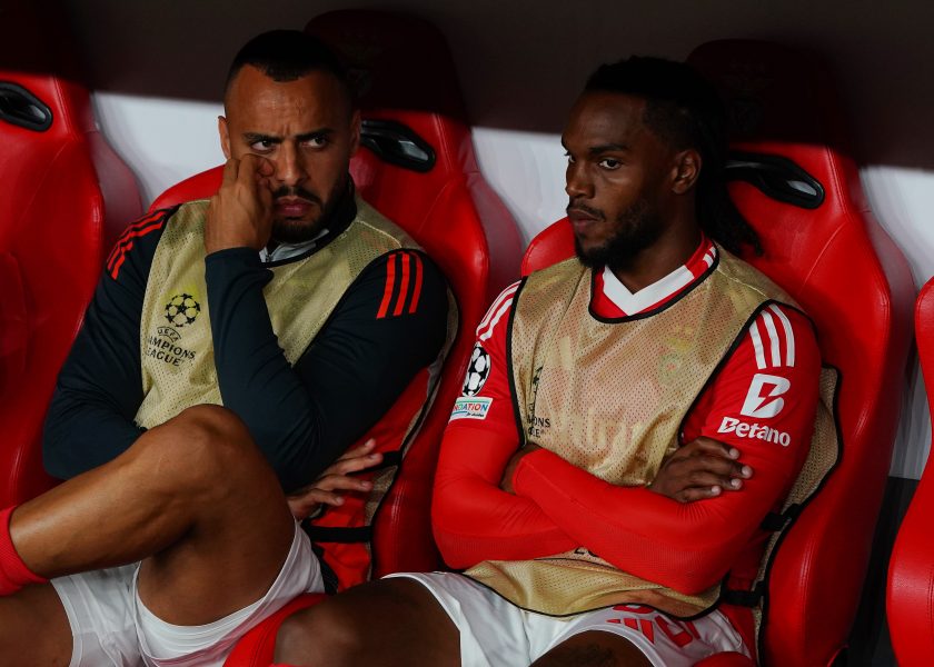 Mercato - Sanches