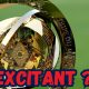 Vidéo PSG – La Coupe du Monde des Clubs arrive, ça fait rêver ?