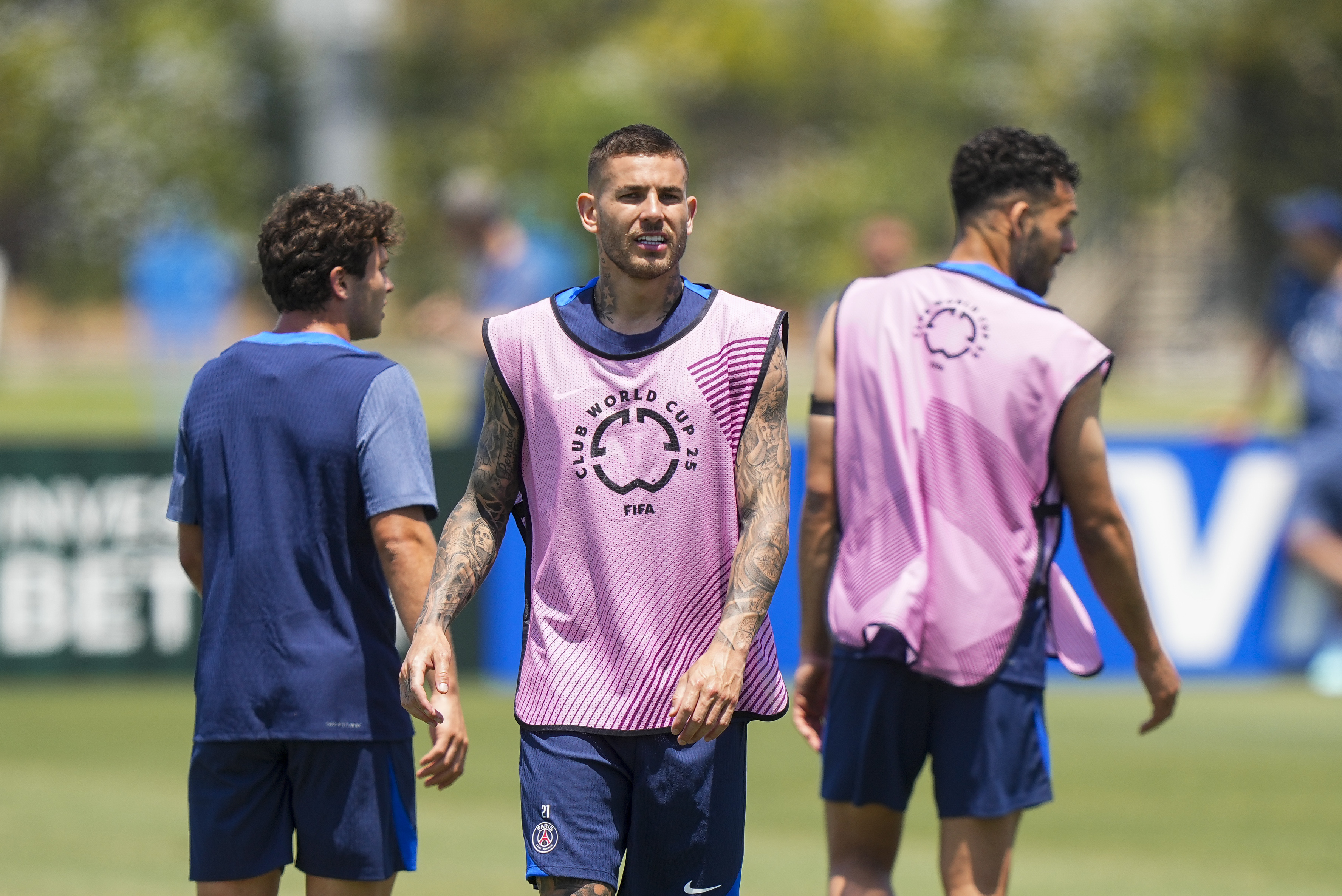 Mercato - Hernandez