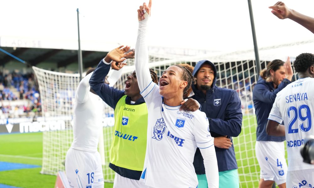PSG/Auxerre – Présentation des Auxerrois : mission stabilité