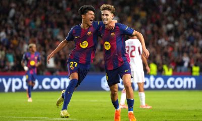 Mercato - Dro Fernandez